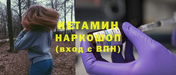 хмурый Белокуриха